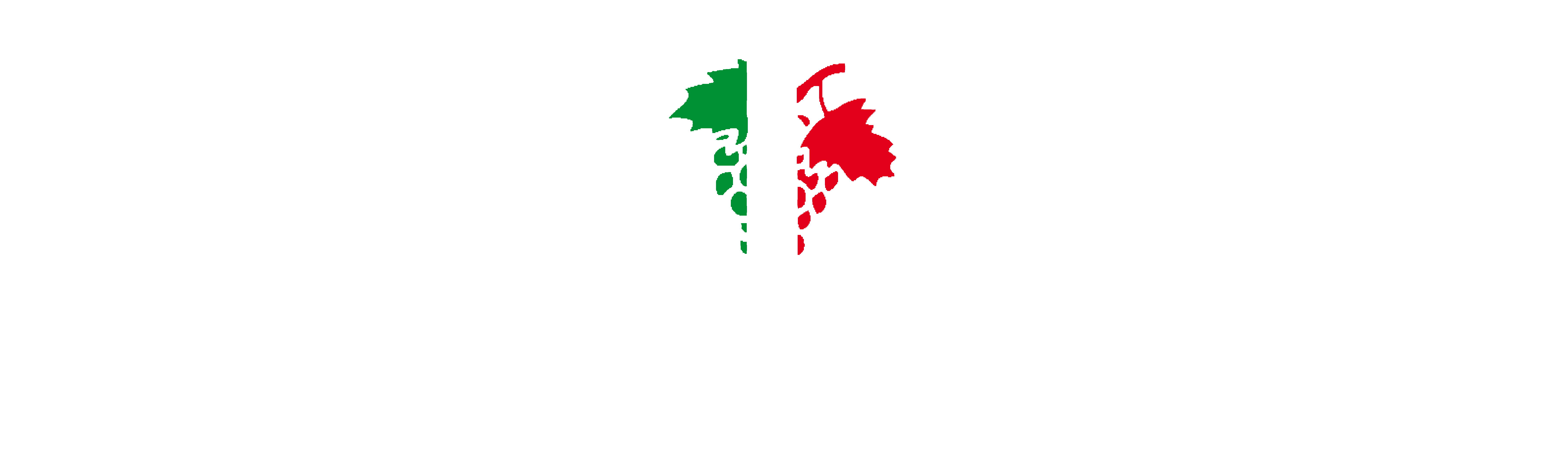 Enoteca Italiana Siena - Logo